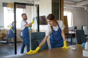 The Art of Professional Cleaning Services: A Complete Guide